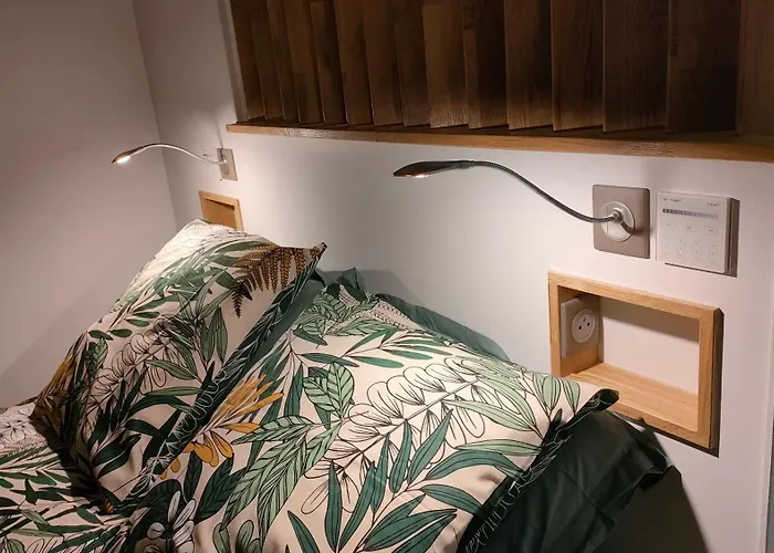 Cosy En Centre-ville De A 200m Lejlighed Royan