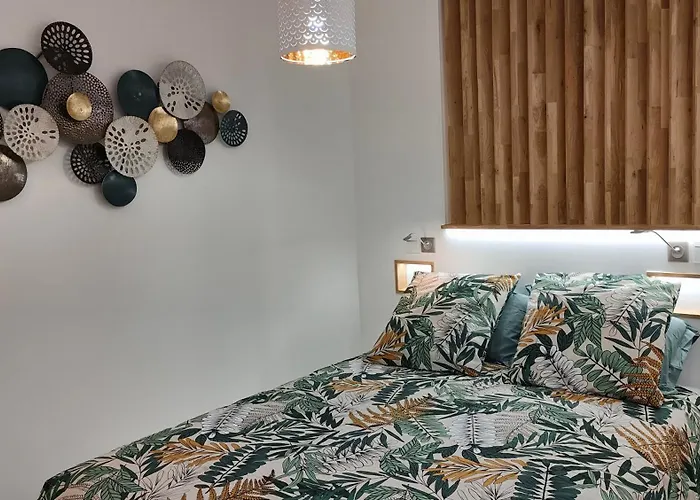 Appartement Cosy En Centre-ville De A 200m *